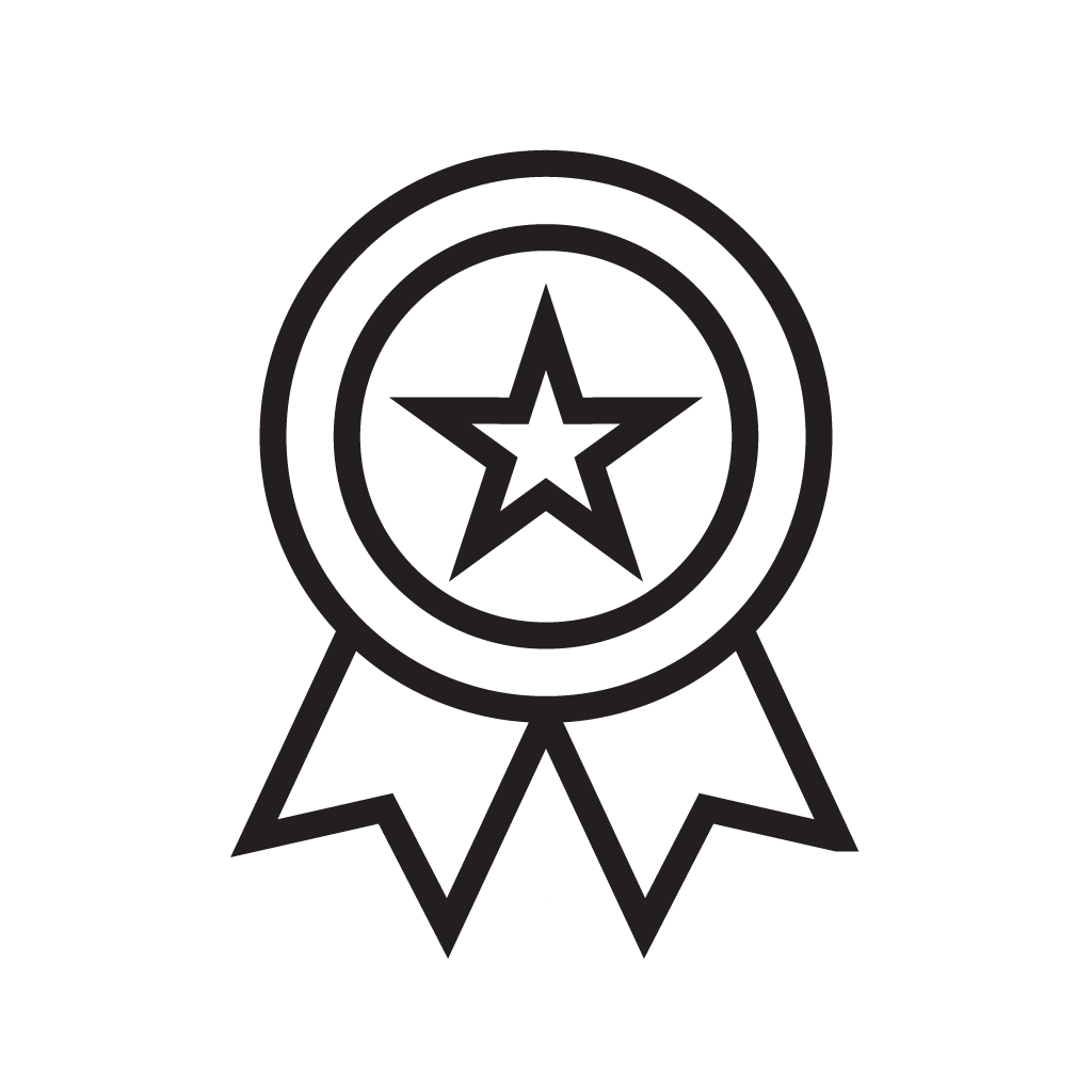 Icon of a medal